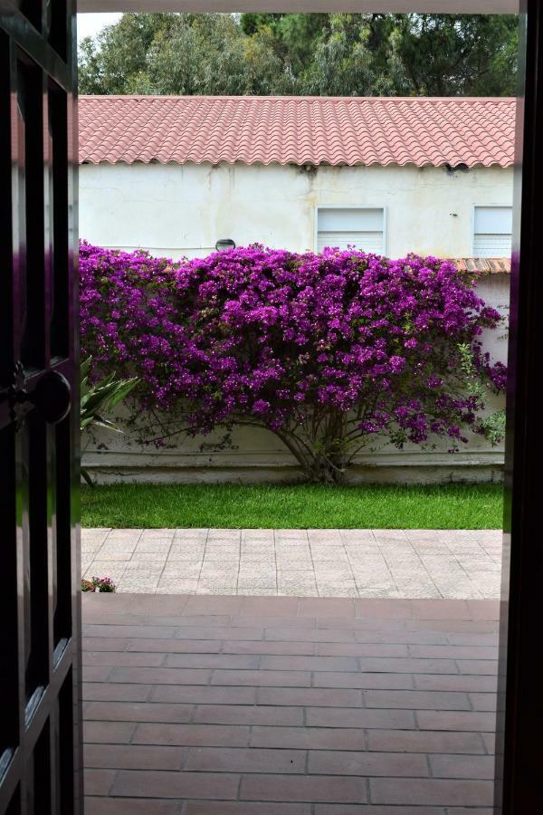 Апартаменты Casa Bedda Аньоне-Баньи Экстерьер фото